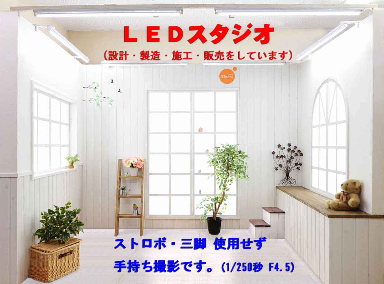 LED�X�^�W�I